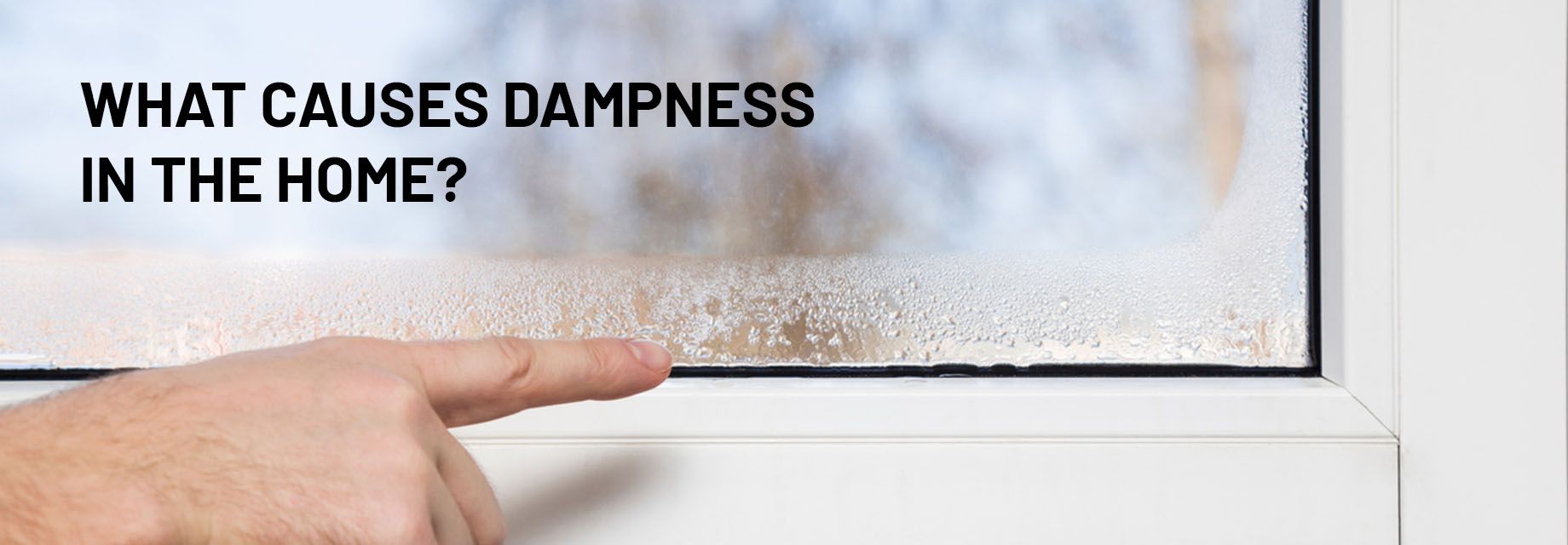 Dampness In The Home