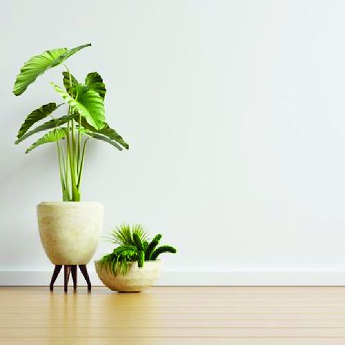 Insulation installed into internal walls